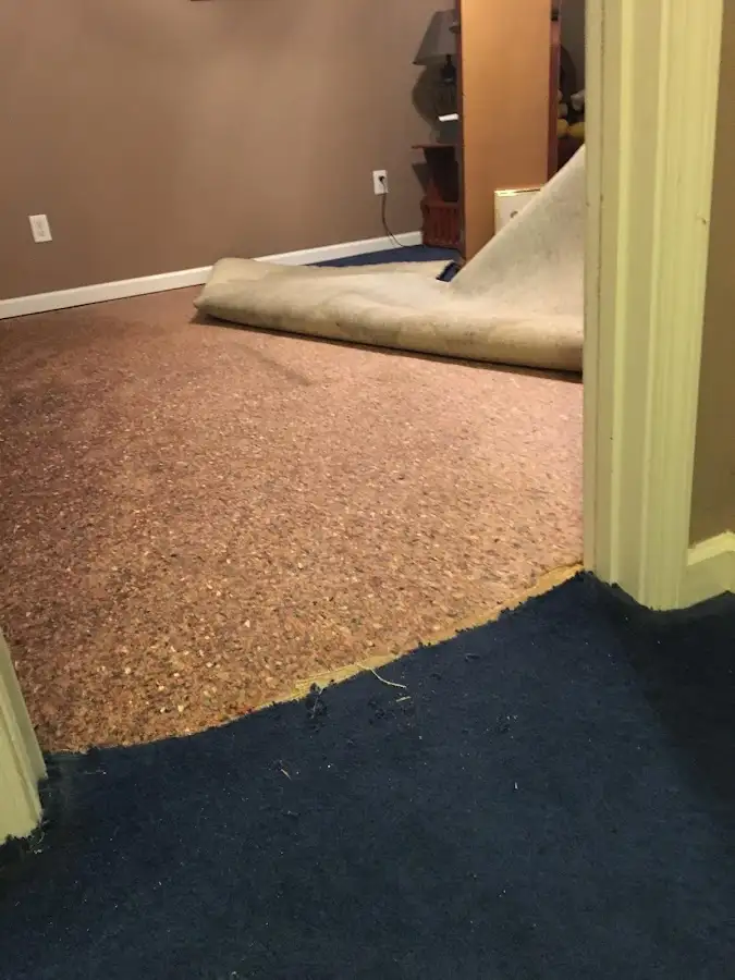 Carpet pad removal revealing water damage during Drying & Dehumidification in Athens